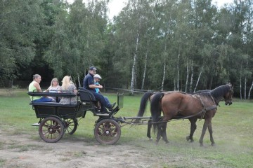 web_DSC_0390