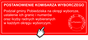 komisarz wyborczy5