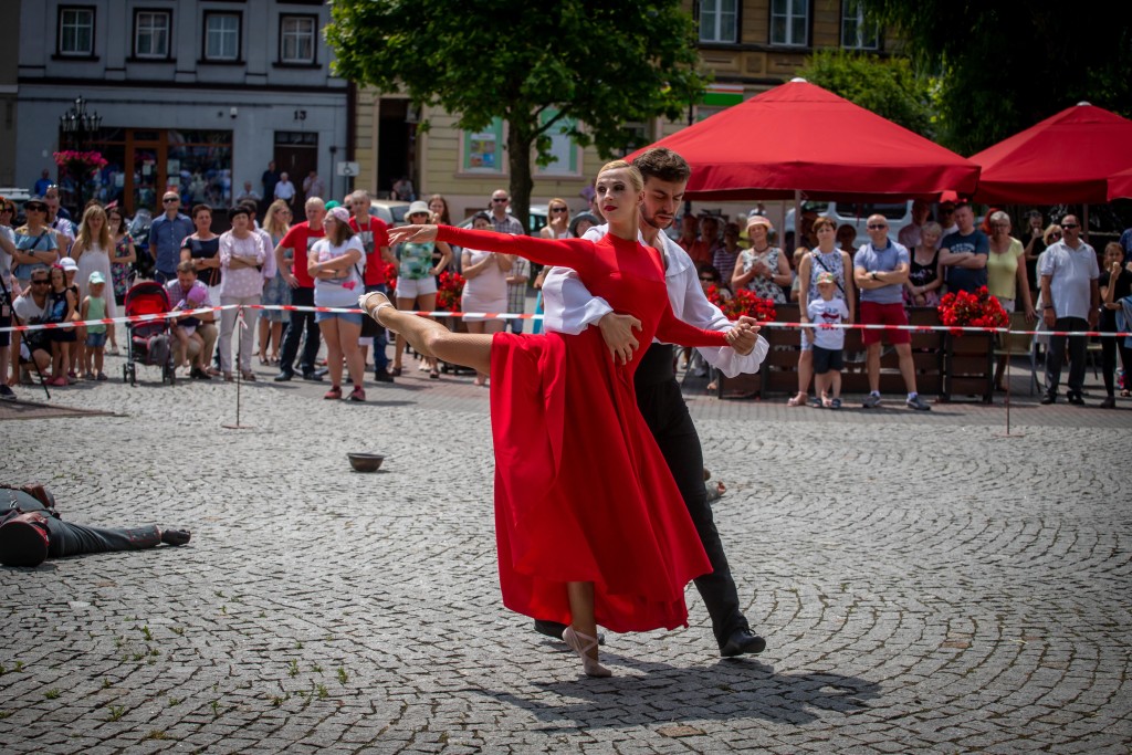IMG_8241