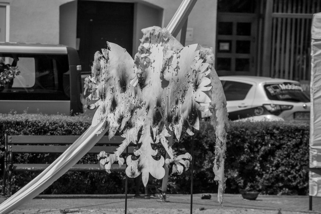 IMG_8397