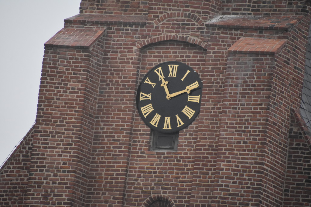 DSC_2310