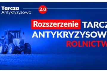 729x308