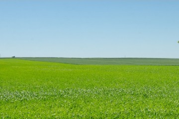 trwale-uzytki-zielone-doplaty-ewniosek