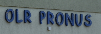 PRONUS-logo