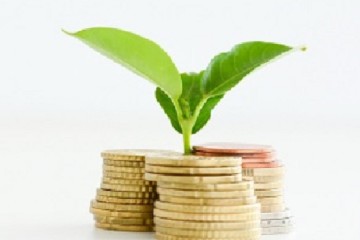 Profitable investment of money concept with isolated plant and c