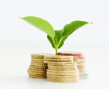 Profitable investment of money concept with isolated plant and c