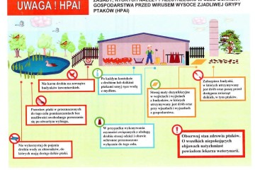 HPAI-info