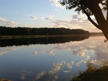 jezioro-stęszewskie (15)