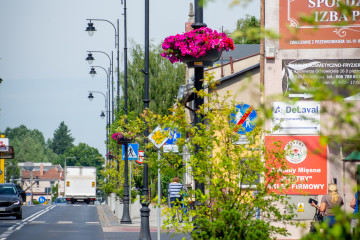 Kwiaty ul. Odnowiciela i Rynek 15.06.2021-8334