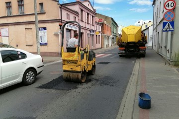 latanieKOSTRZYN9