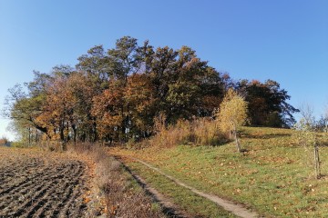 jesien-widok-cment