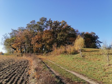 jesien-widok-cment