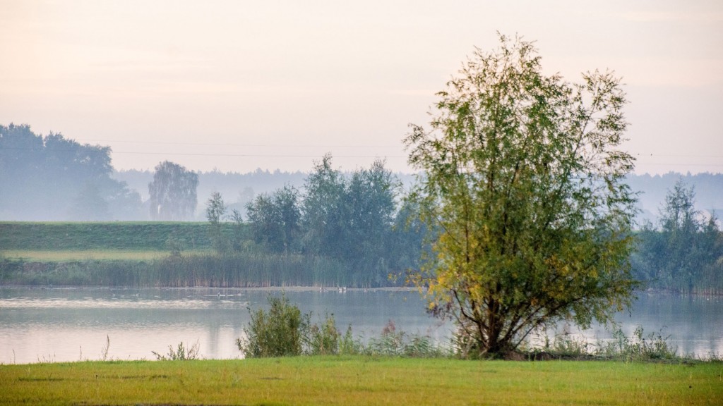 e jesień 2022