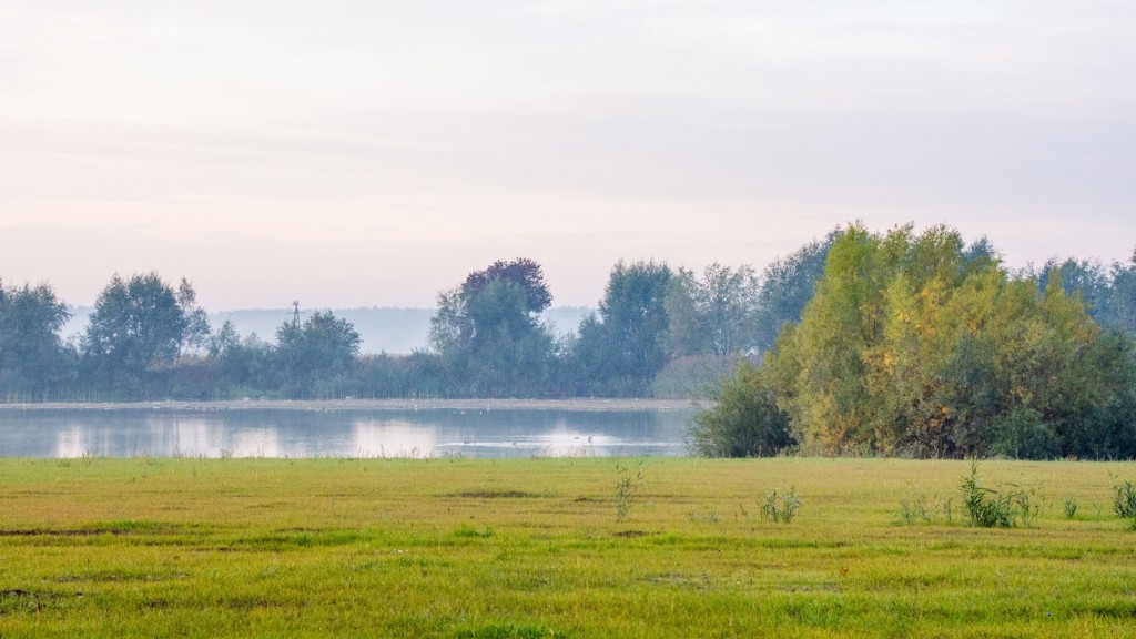 f jesień 2022