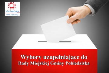 wybory