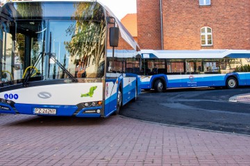 Autobusy-6834