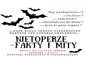 Black and White Bat Halloween Party Invitation