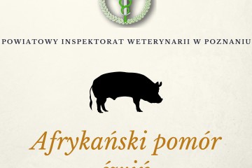 PIW Poznań plakat kopia