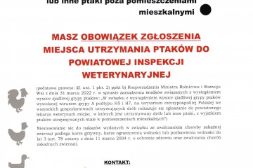 cała 2 strona