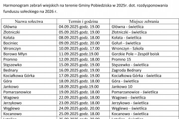 INFORMACJA na stronę - fundusz sołecki-1