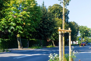 nasadzenia Pobiedziska 09.09.25-8321a