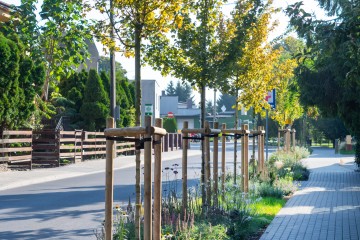 nasadzenia Pobiedziska 09.09.25-8333a