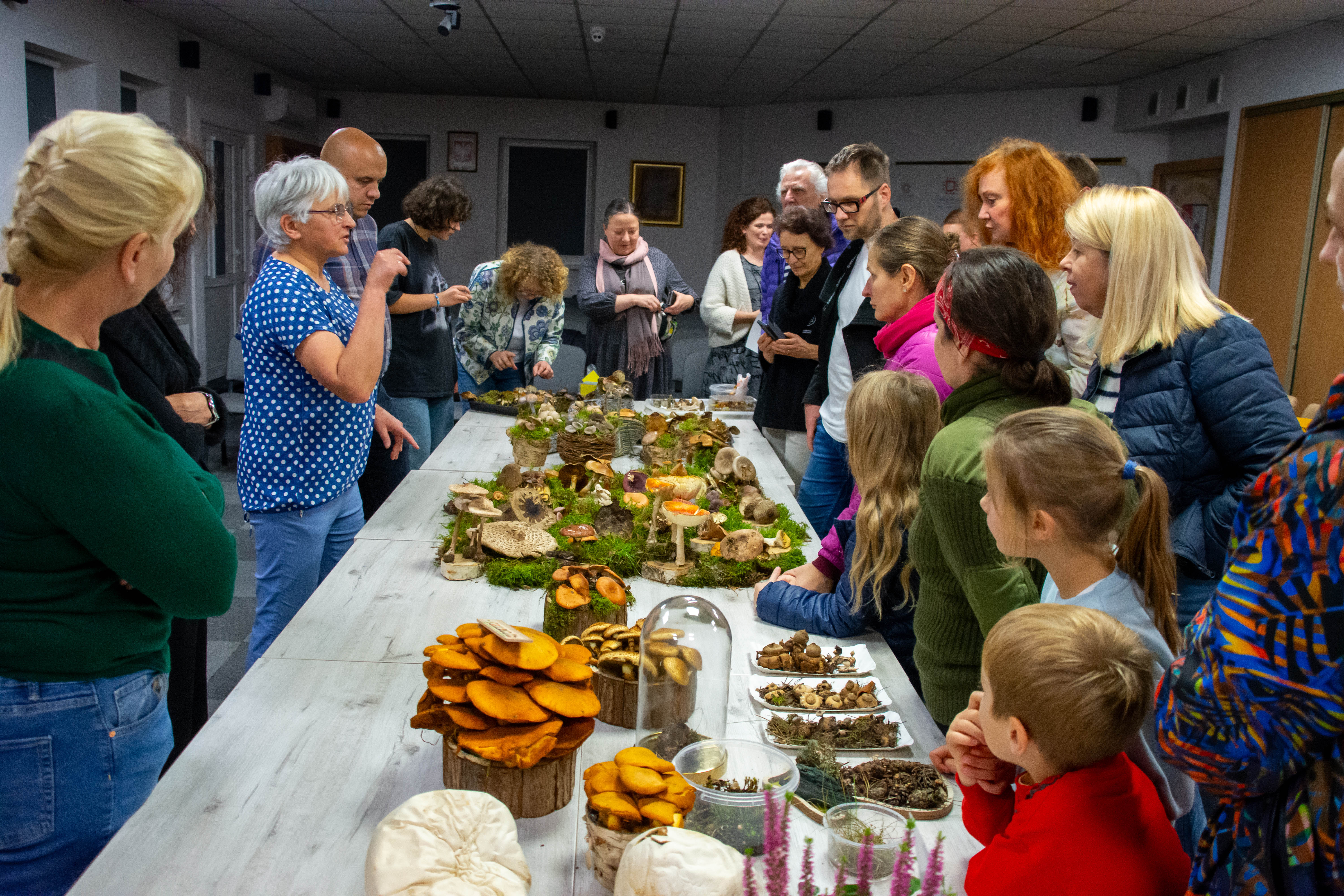 Regionalna Wystawa Grzybów-1080