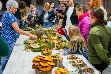 Regionalna Wystawa Grzybów-1083