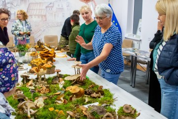 Regionalna Wystawa Grzybów-1090