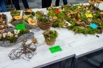 Regionalna Wystawa Grzybów-1112