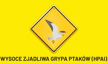 PTASIA-GRYPA-1024x645