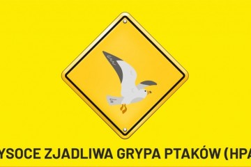 PTASIA-GRYPA-1024x645