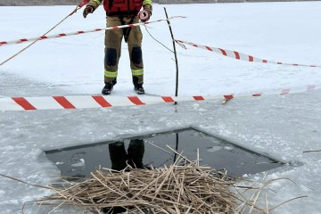 629600492_3315554678612344_7582243962759973548_n