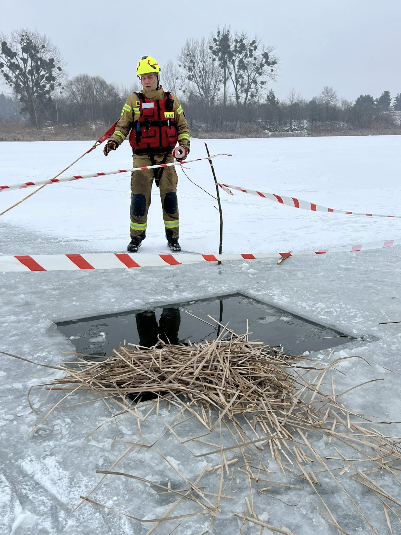 629600492_3315554678612344_7582243962759973548_n