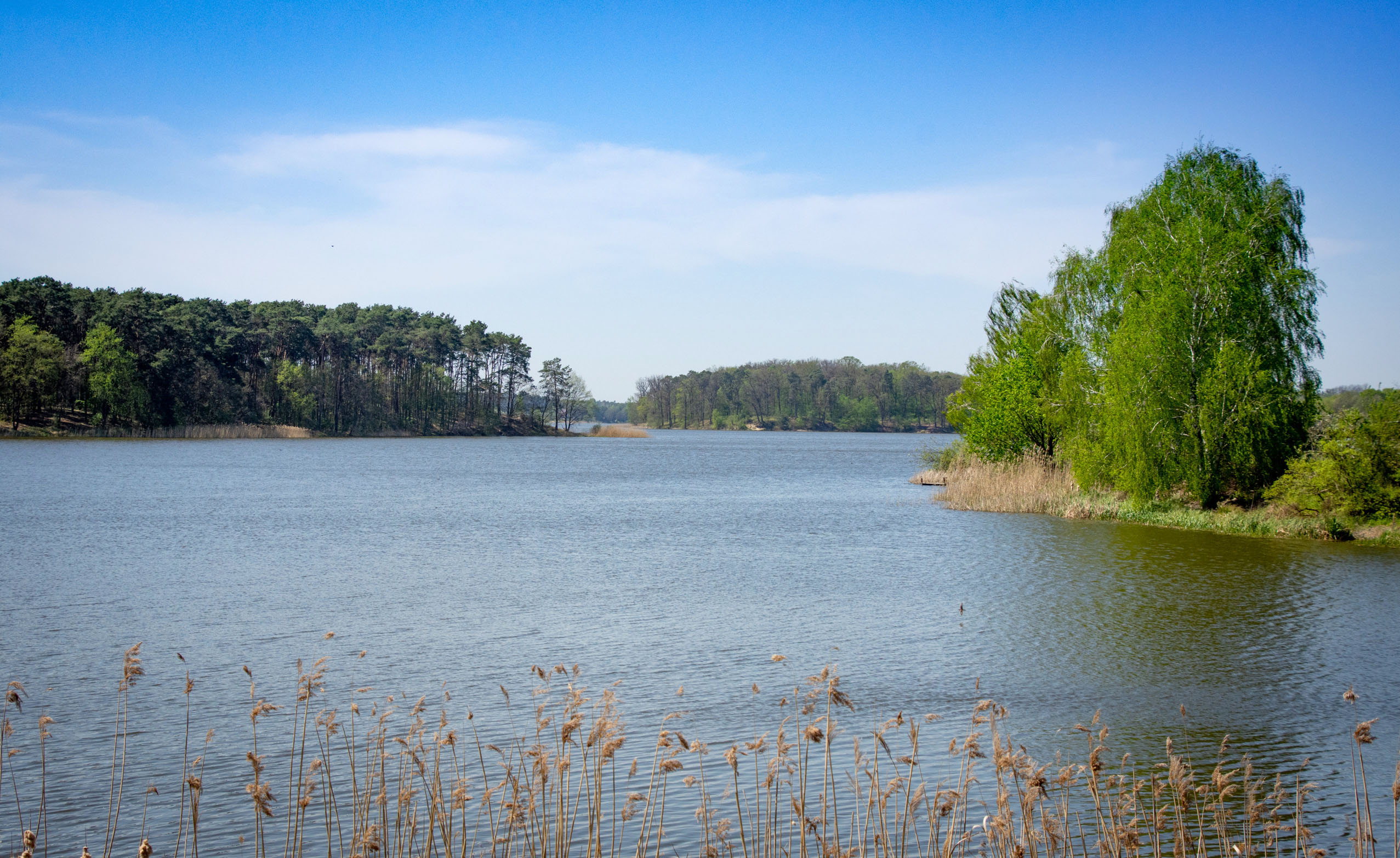 zalew Kowalski DSC_5924a