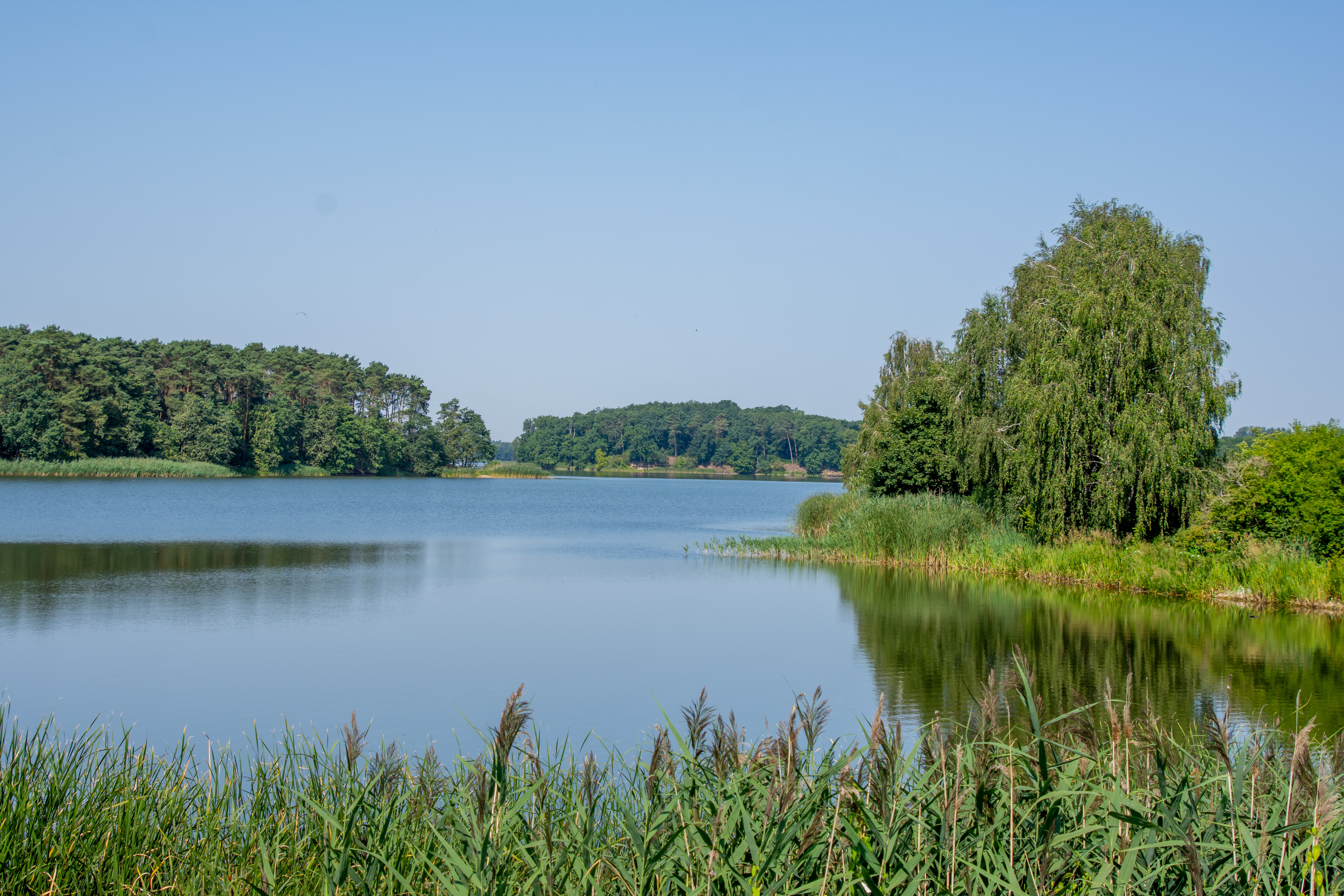 zalew Kowalskie-6609