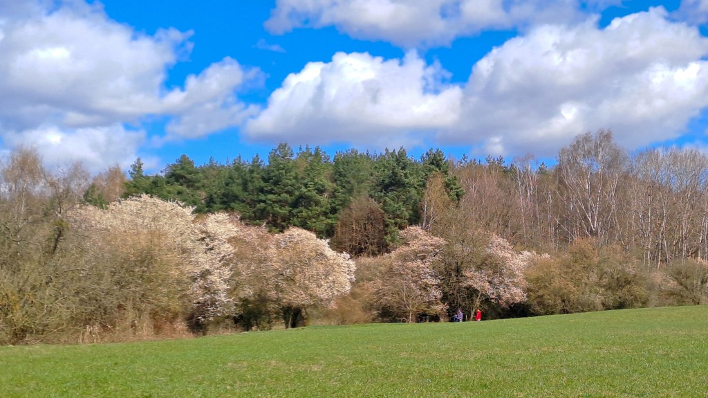 01 fb wiosna kwiecień 2026