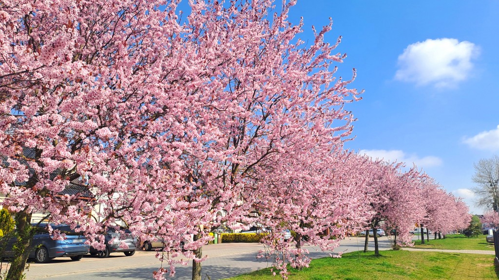 02 fb 15.04.26 poprawka