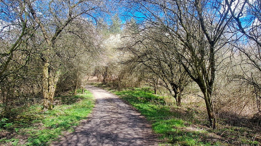 02 fb wiosna kwiecień 2026