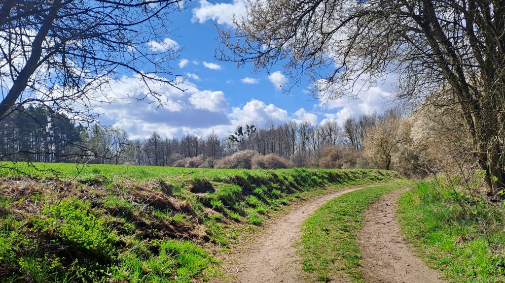 03 fb wiosna kwiecień 2026