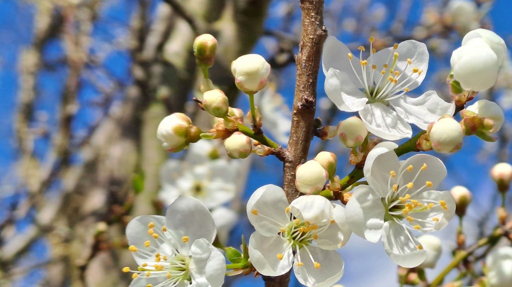 04 fb wiosna kwiecień 2026