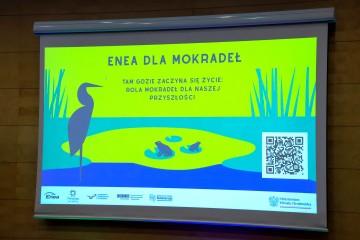 Enea dla mokradeł-0001 (1)