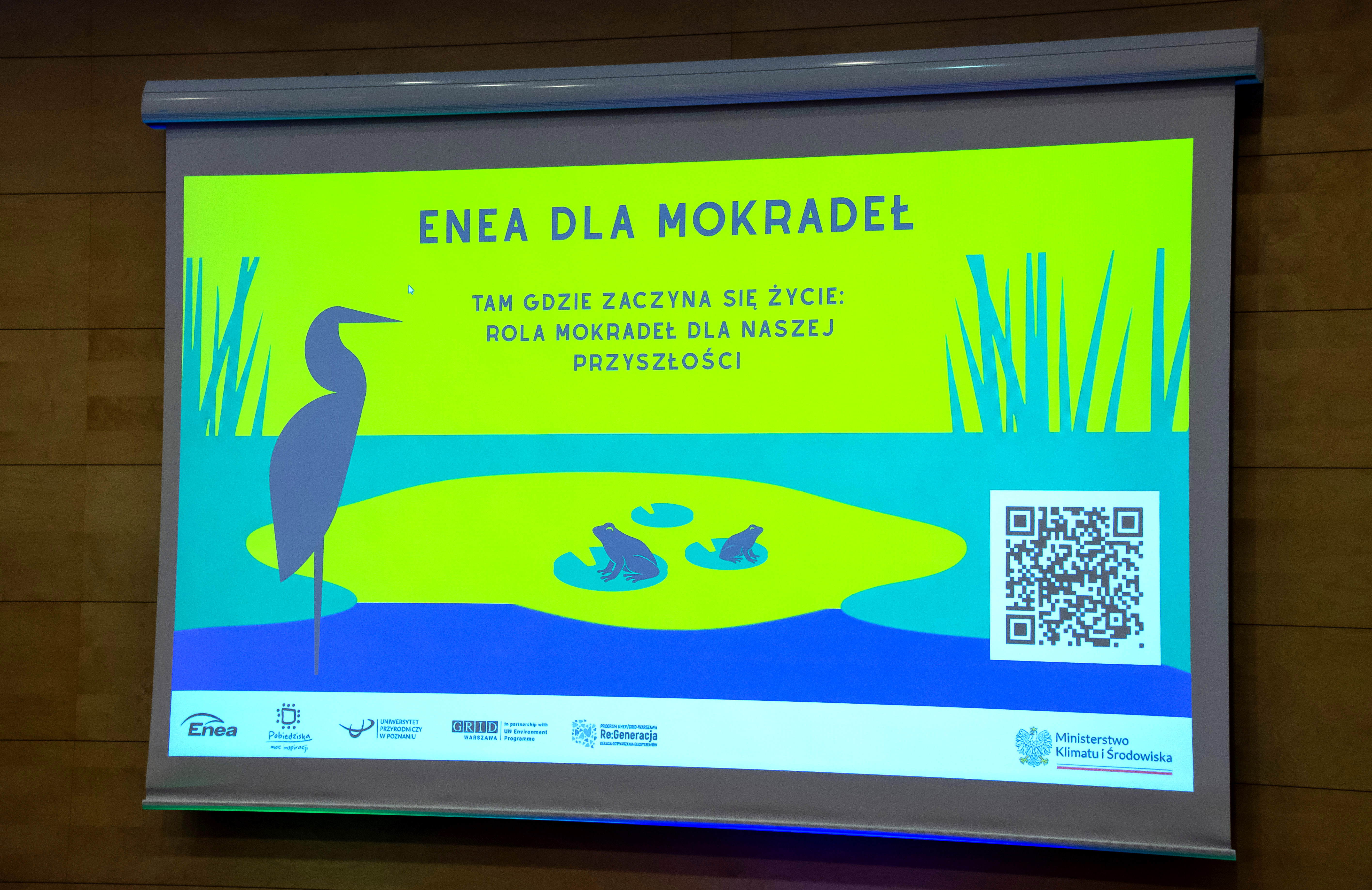 Enea dla mokradeł-0001 (1)