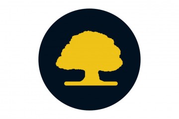 drzewko